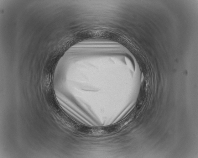 X0000062600605200601181606