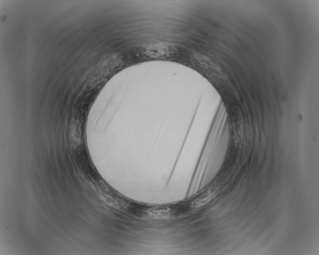 X0000062600606200601181606