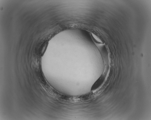 X0000062600607200601181606