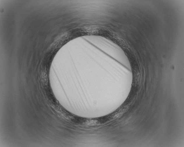 X0000062600609200601181606