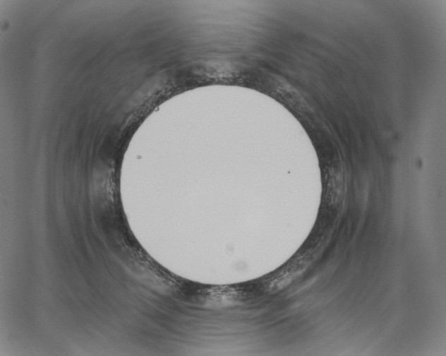 X0000062600612200601181606