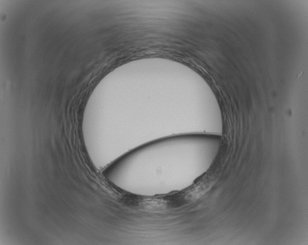 X0000062600617200601181606