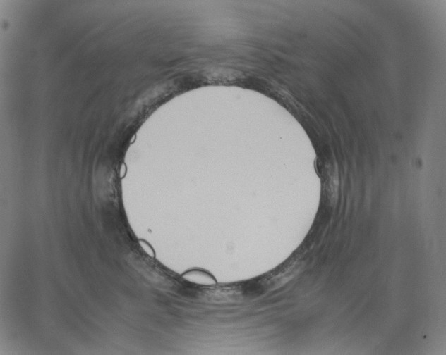 X0000062600619200601181606
