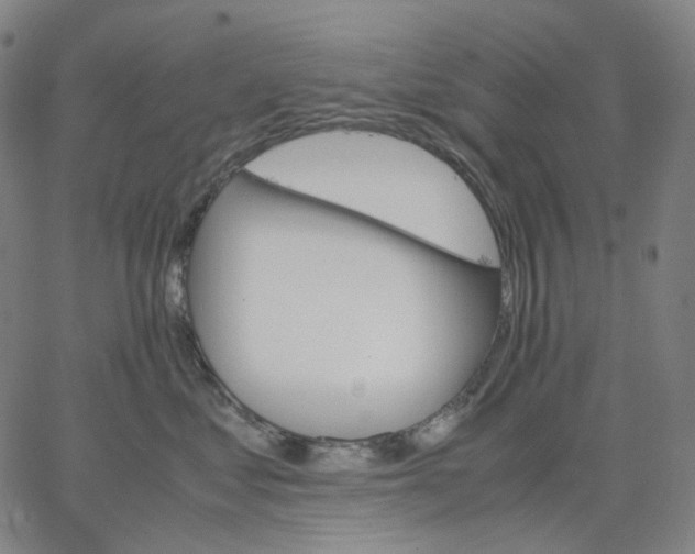 X0000062600621200601181606