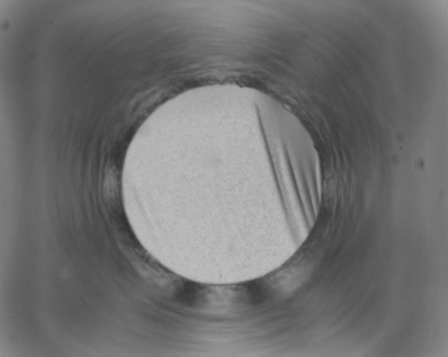 X0000062600623200601181606