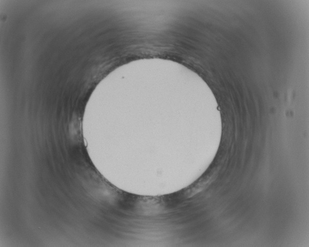 X0000062600624200601181606