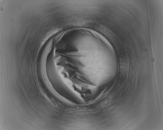 X0000062600626200601181605