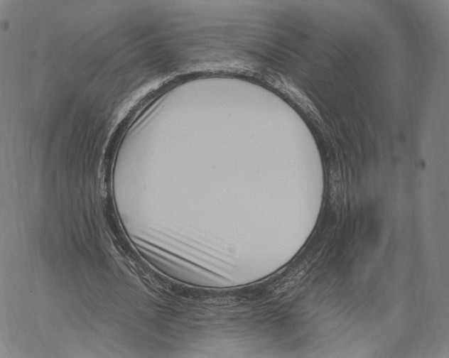 X0000062600628200601181605