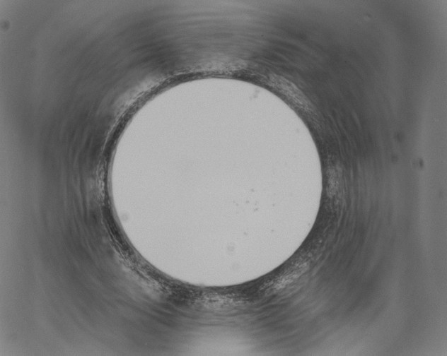 X0000062600632200601181605