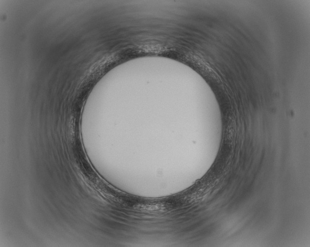 X0000062600639200601181605