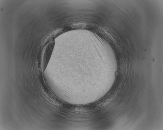 X0000062600641200601181605