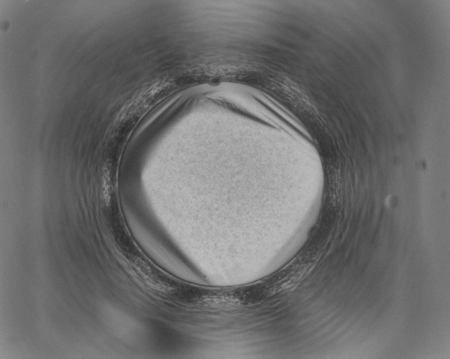 X0000062600644200601181605
