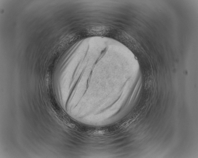 X0000062600647200601181605