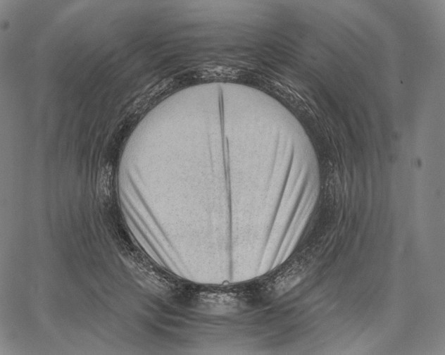 X0000062600649200601181605