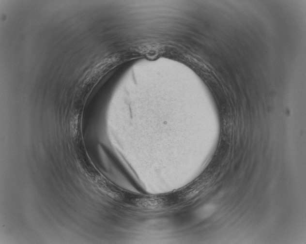 X0000062600652200601181605