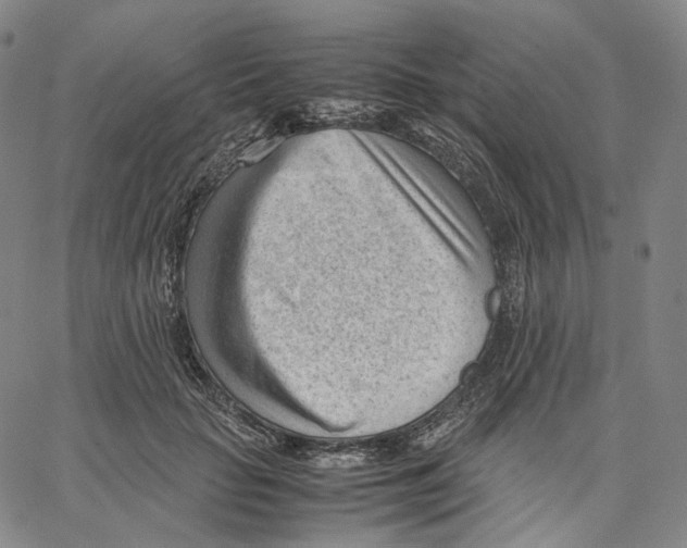 X0000062600653200601181605