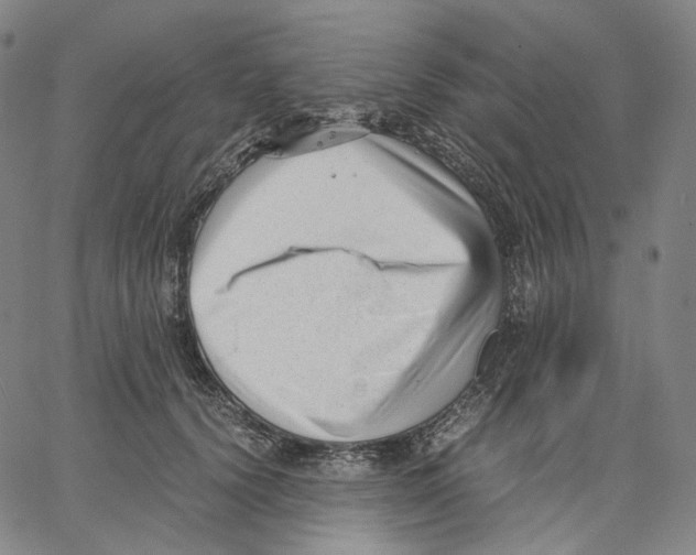 X0000062600656200601181606