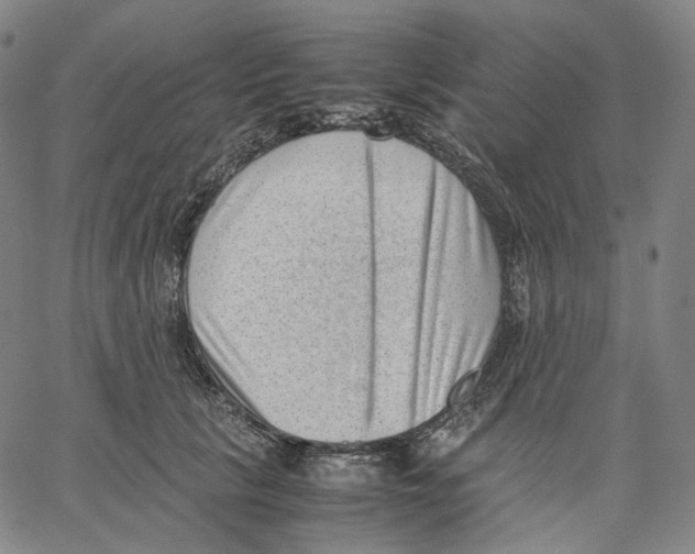 X0000062600657200601181606