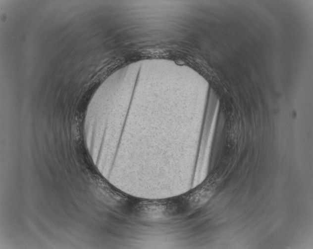 X0000062600658200601181606