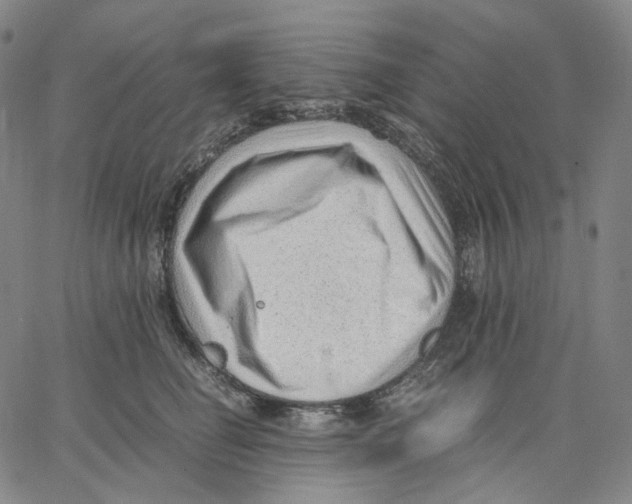 X0000062600662200601181606