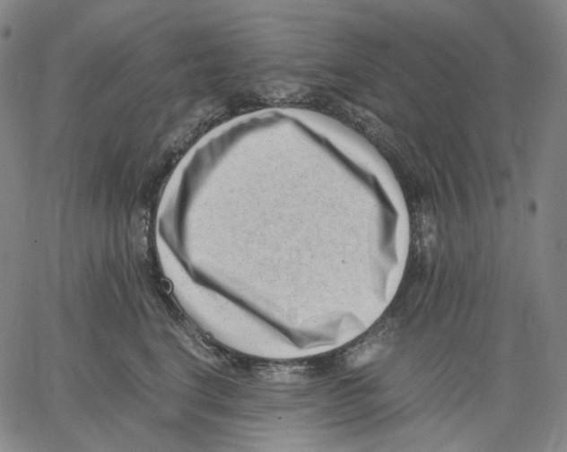 X0000062600664200601181606