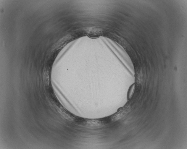 X0000062600666200601181606