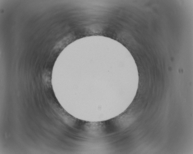 X0000062600672200601181606