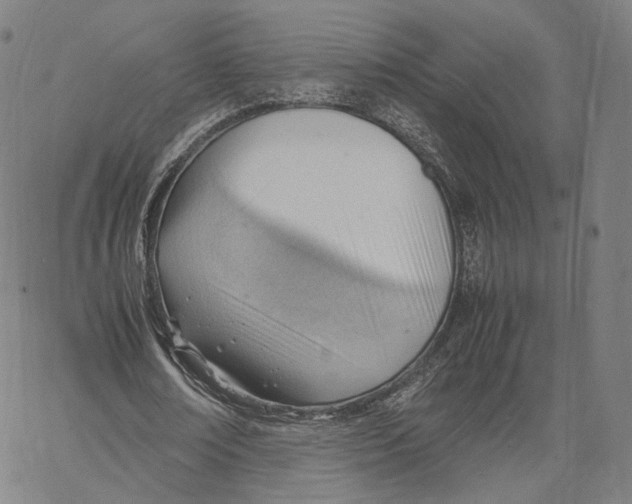X0000062600674200601181605