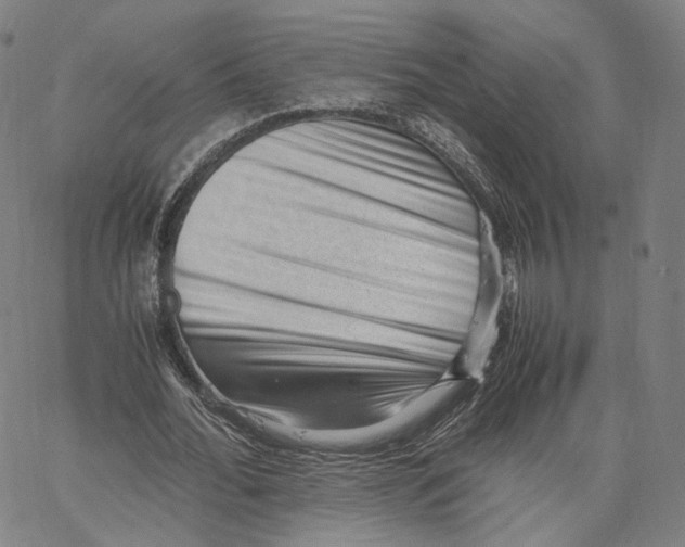 X0000062600676200601181605