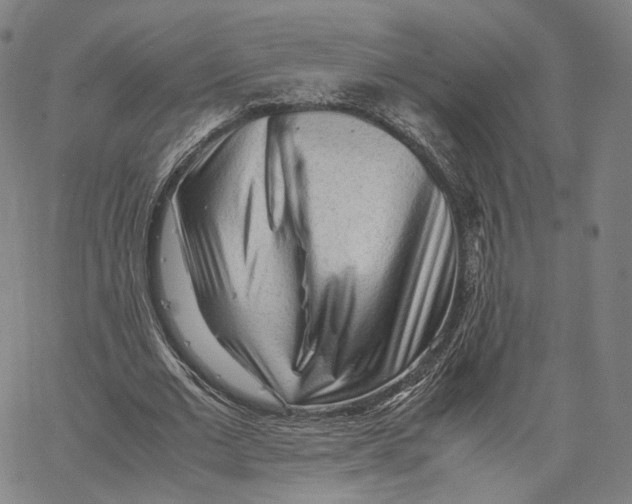 X0000062600677200601181605