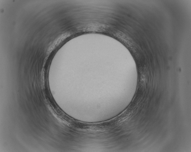 X0000062600678200601181605