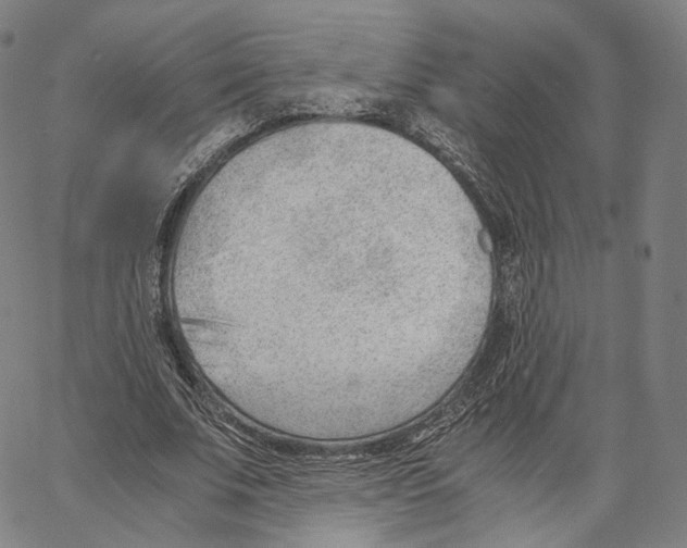 X0000062600679200601181605