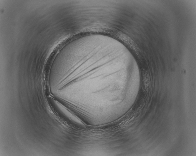 X0000062600680200601181605