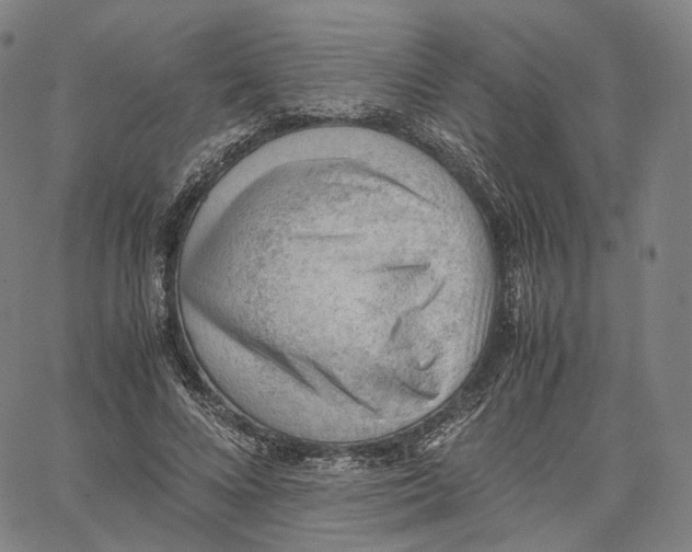 X0000062600688200601181605