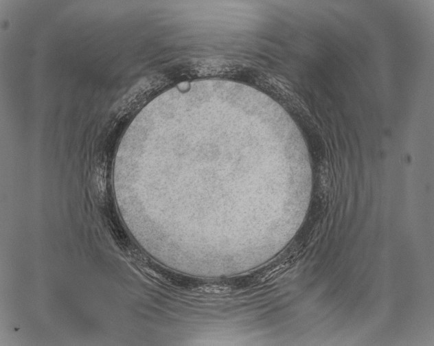 X0000062600691200601181605