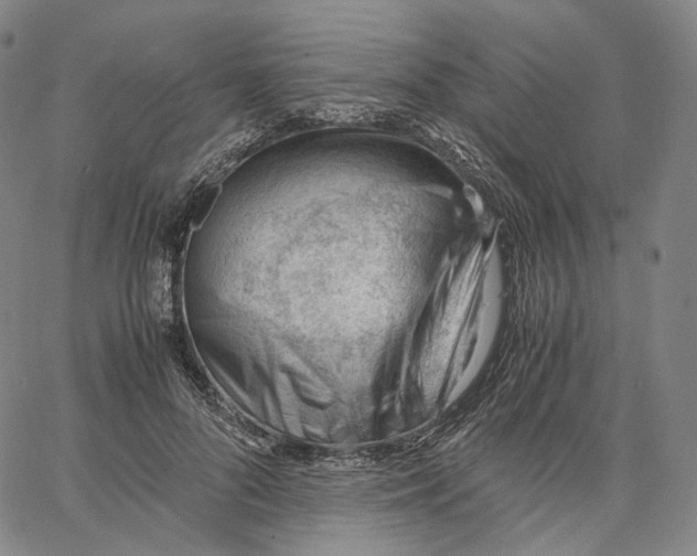X0000062600696200601181605