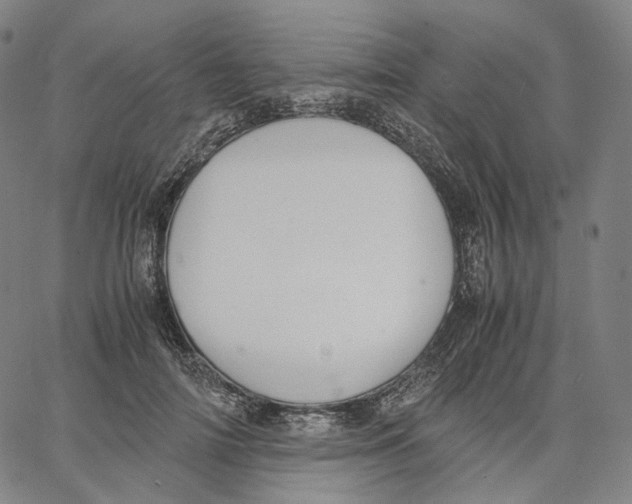 X0000062600698200601181605