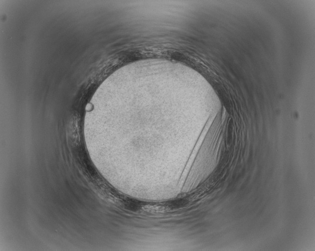 X0000062600699200601181605