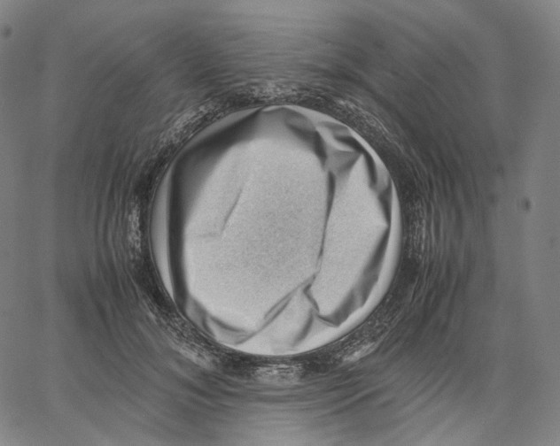 X0000062600700200601181605