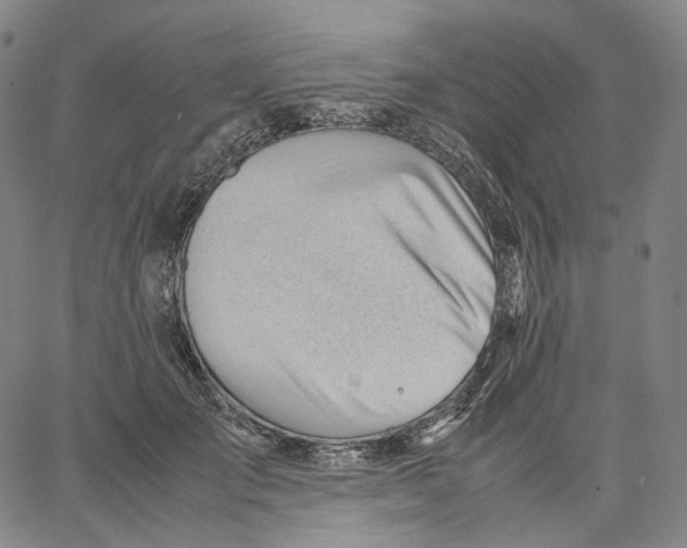X0000062600701200601181605