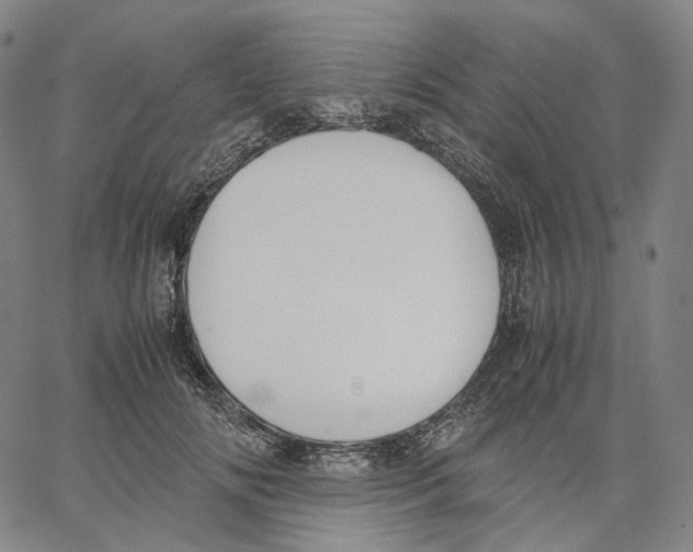 X0000062600702200601181605