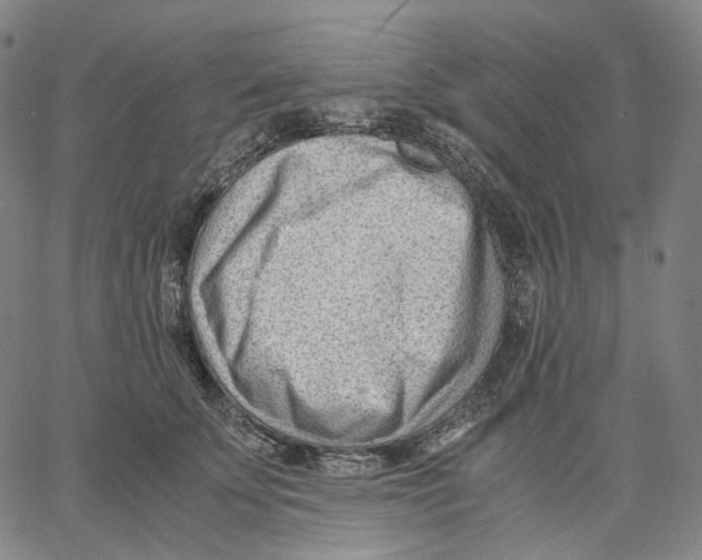 X0000062600707200601181604