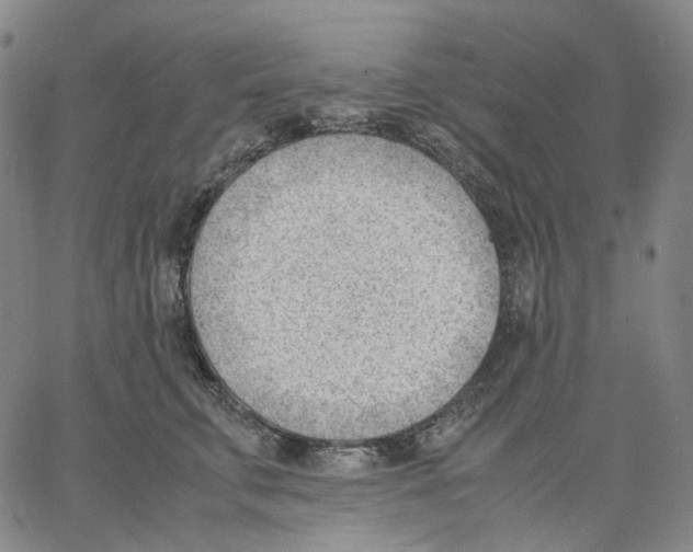 X0000062600711200601181604