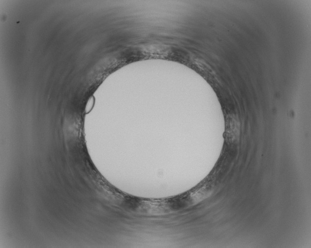 X0000062600713200601181604