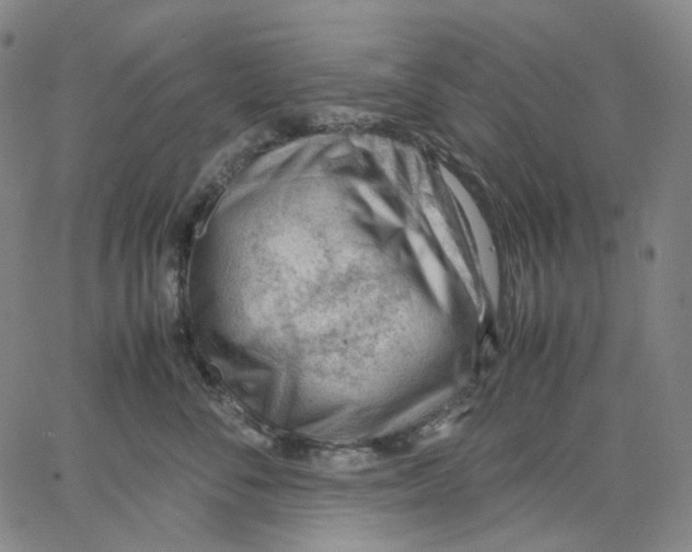 X0000062600716200601181604