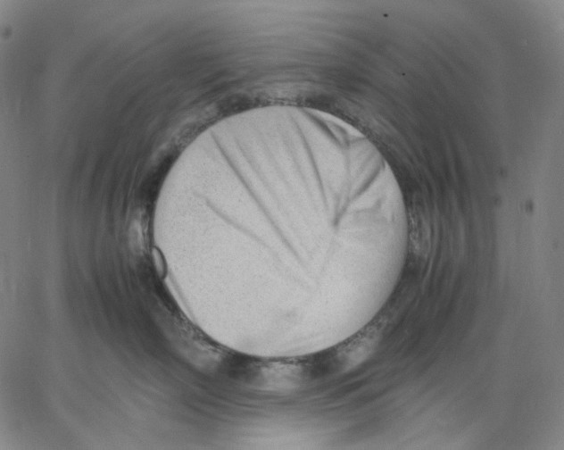 X0000062600718200601181604