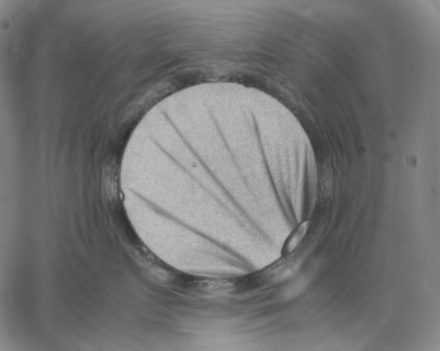 X0000062600719200601181604