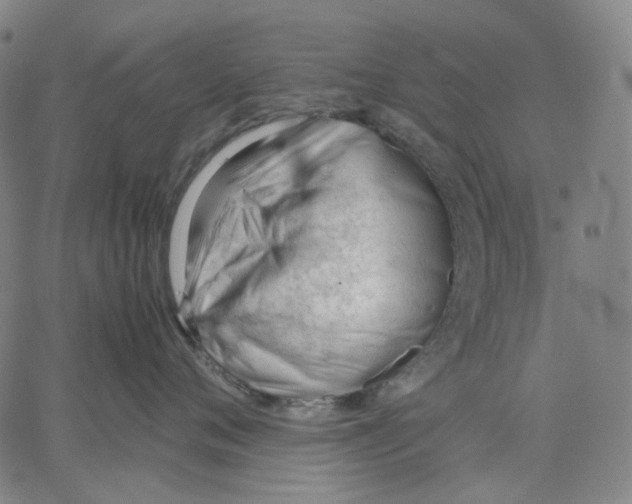 X0000062600720200601181604