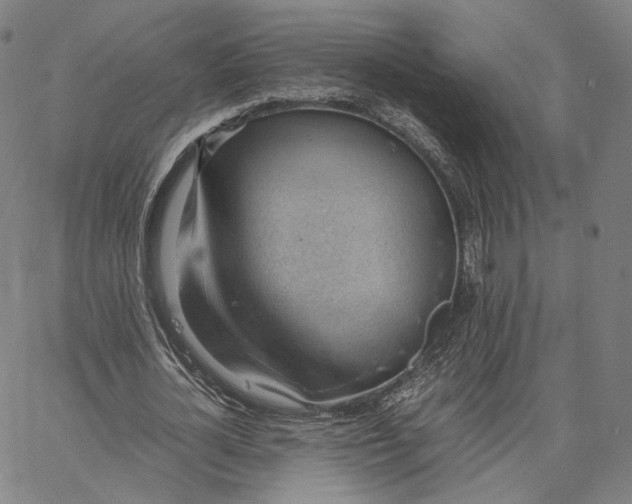 X0000062600724200601181603