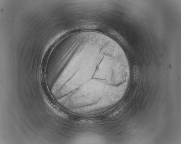 X0000062600726200601181604